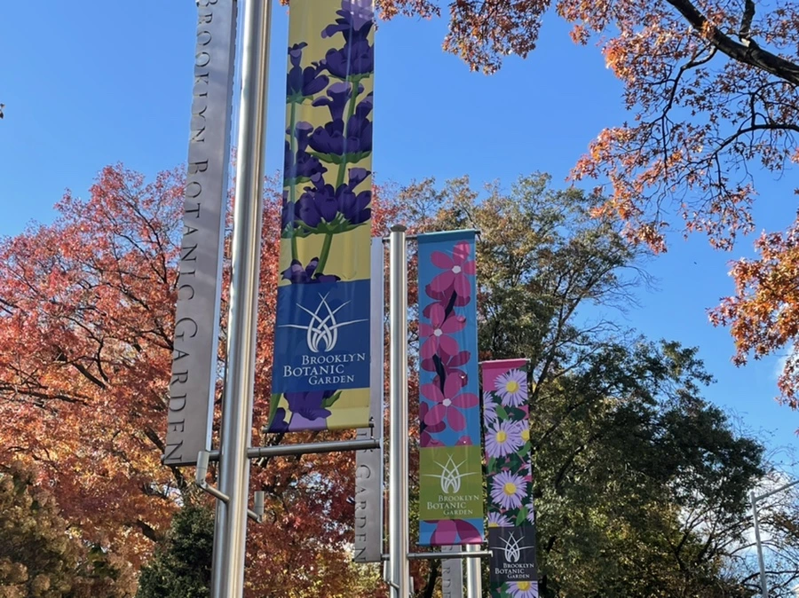 IMG_3015.jpg?type=w966