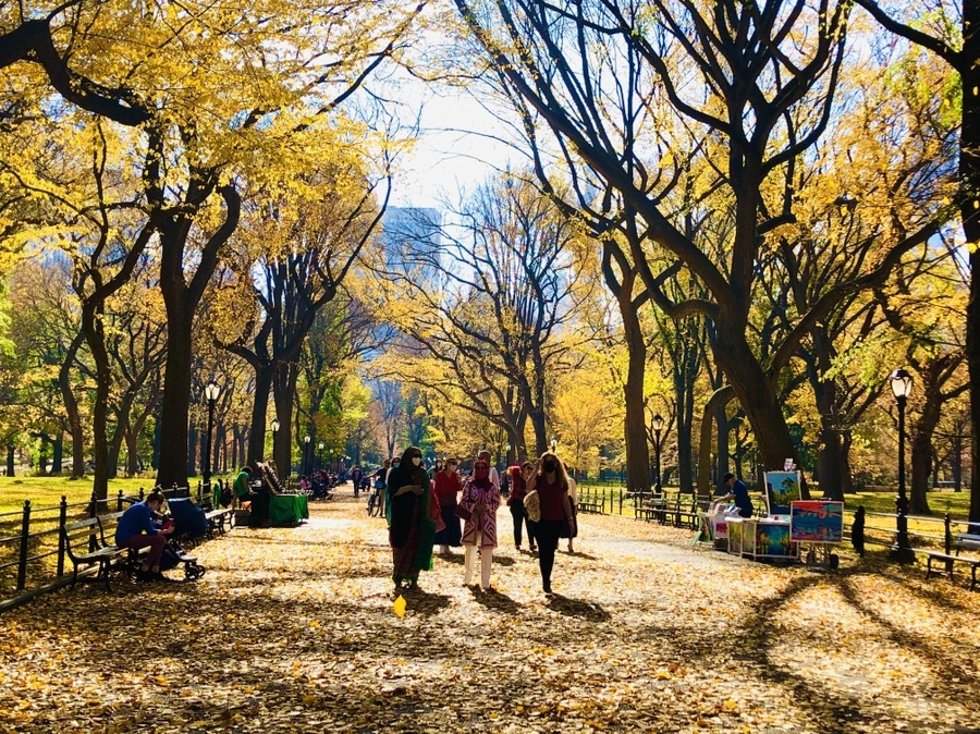 IMG_4272.jpg?type=w966