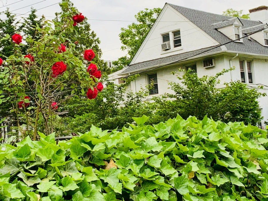 IMG_4805.jpg?type=w966