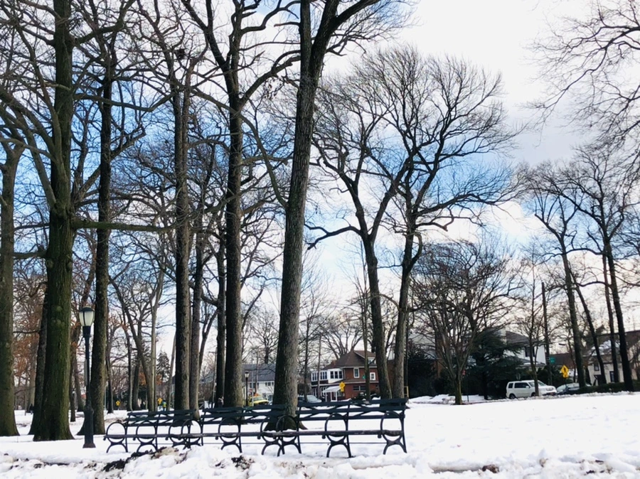 IMG_2879.jpg?type=w966