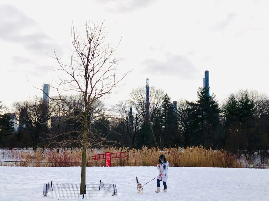 IMG_7300.jpg?type=w966