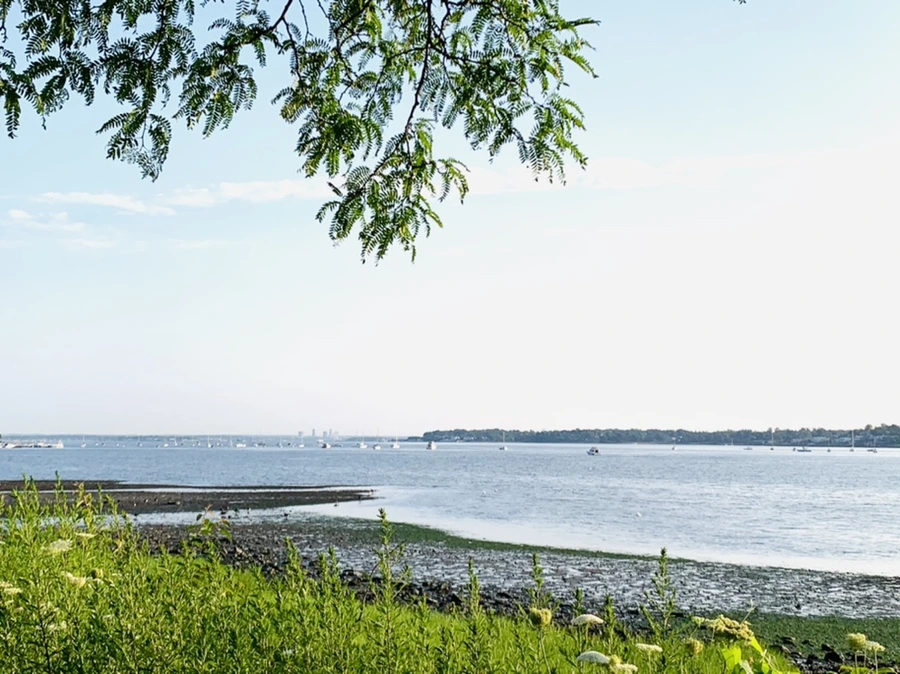 IMG_9831.jpg?type=w966