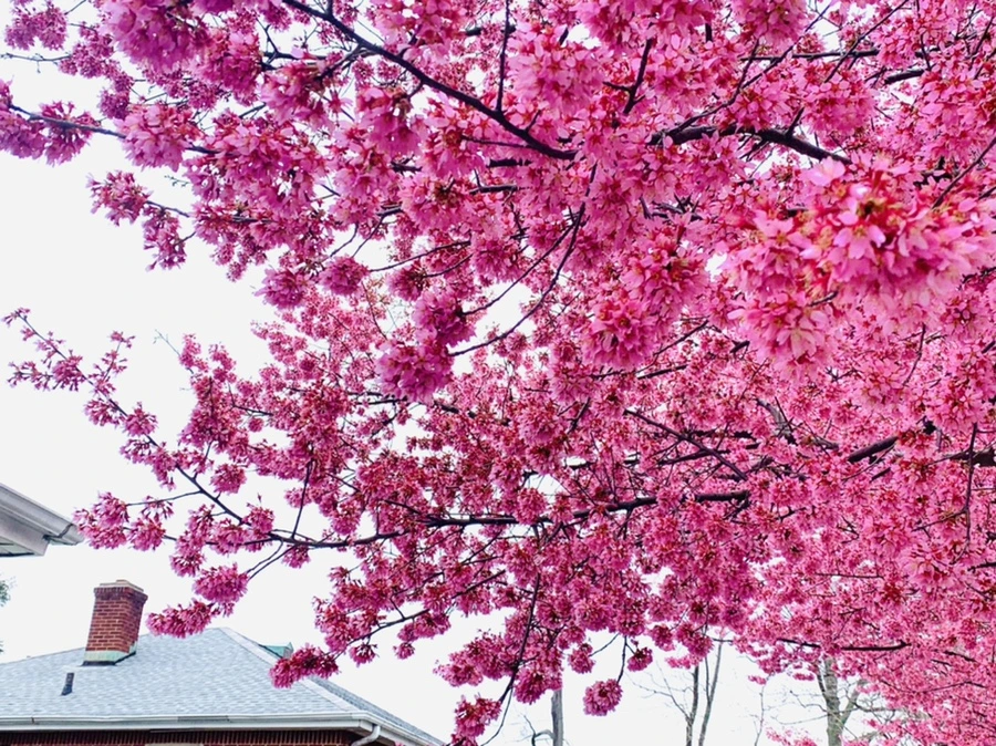 IMG_6282.jpg?type=w966