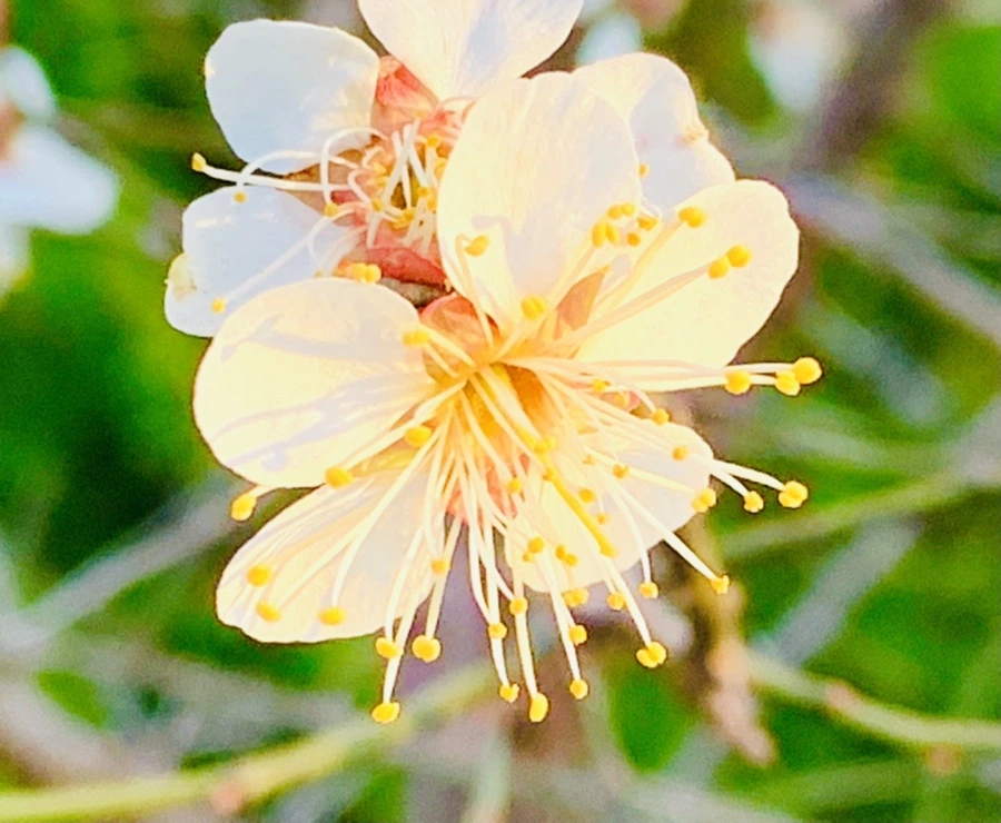 IMG_0839.jpg?type=w966