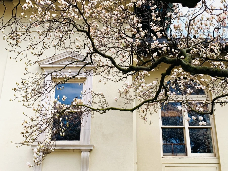 IMG_7220.jpg?type=w966