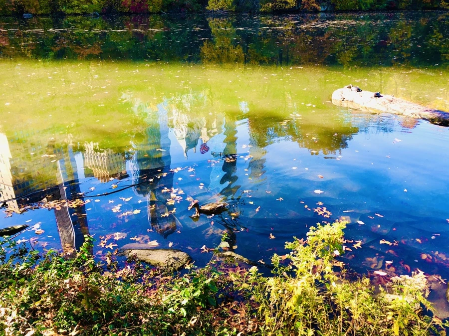 IMG_3779.jpg?type=w966