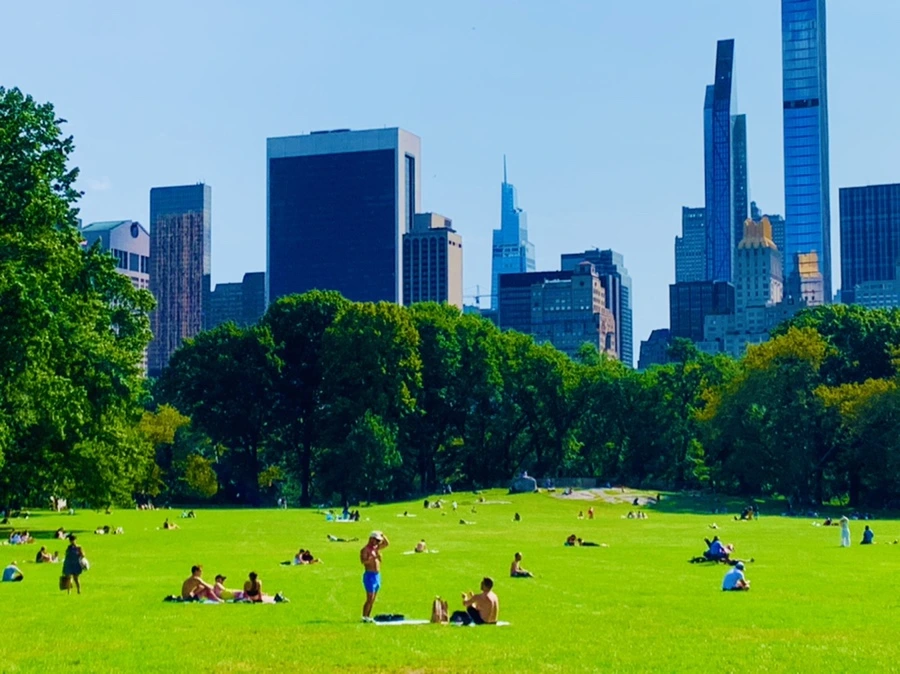 IMG_9690.jpg?type=w966