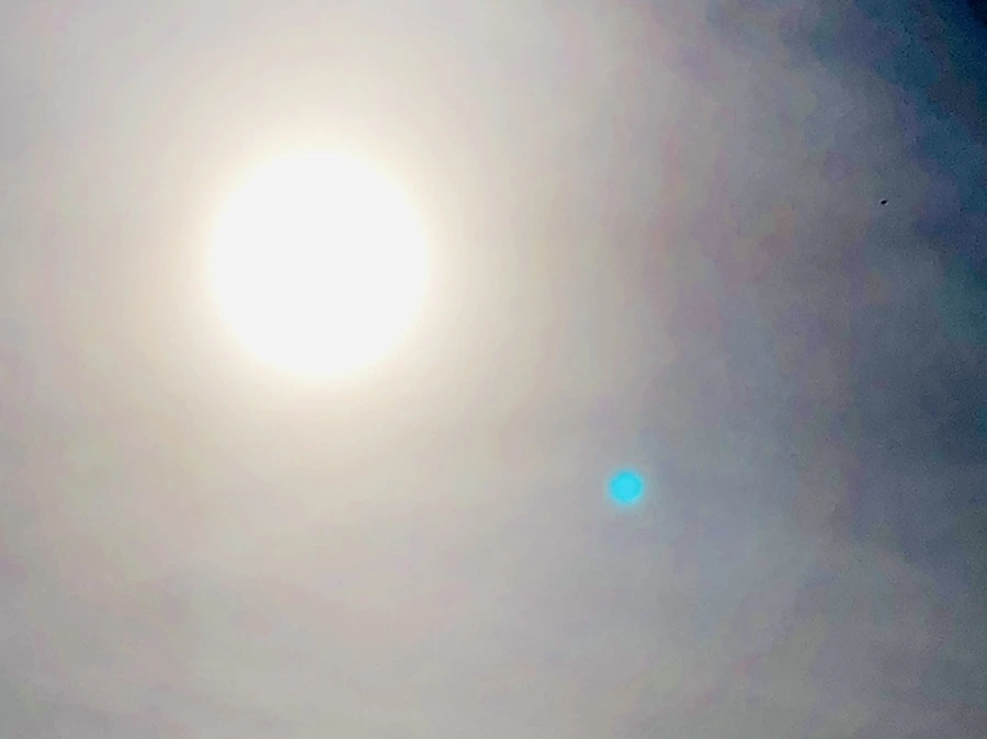 IMG_3175.jpg?type=w966