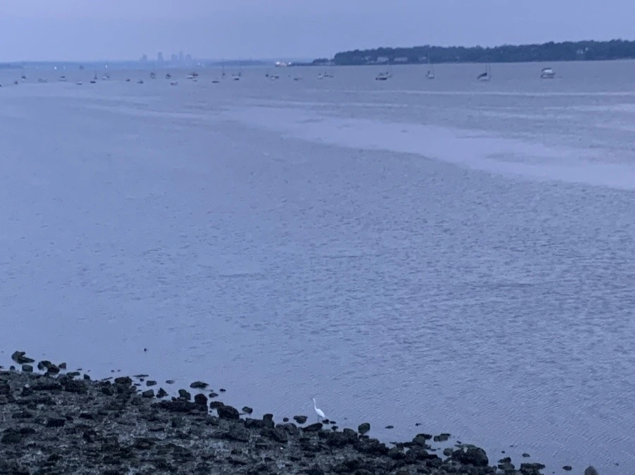 faVDHtrGrGO25NtDBDnbf9N0hD0