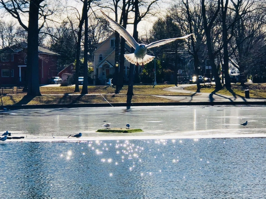 IMG_5332.jpg?type=w966