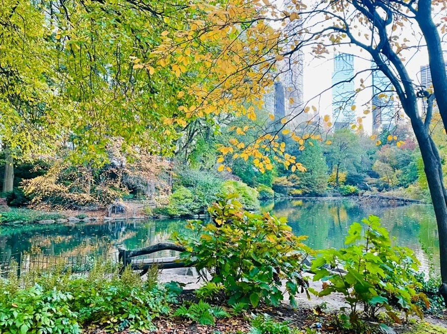 IMG_1511.jpg?type=w966