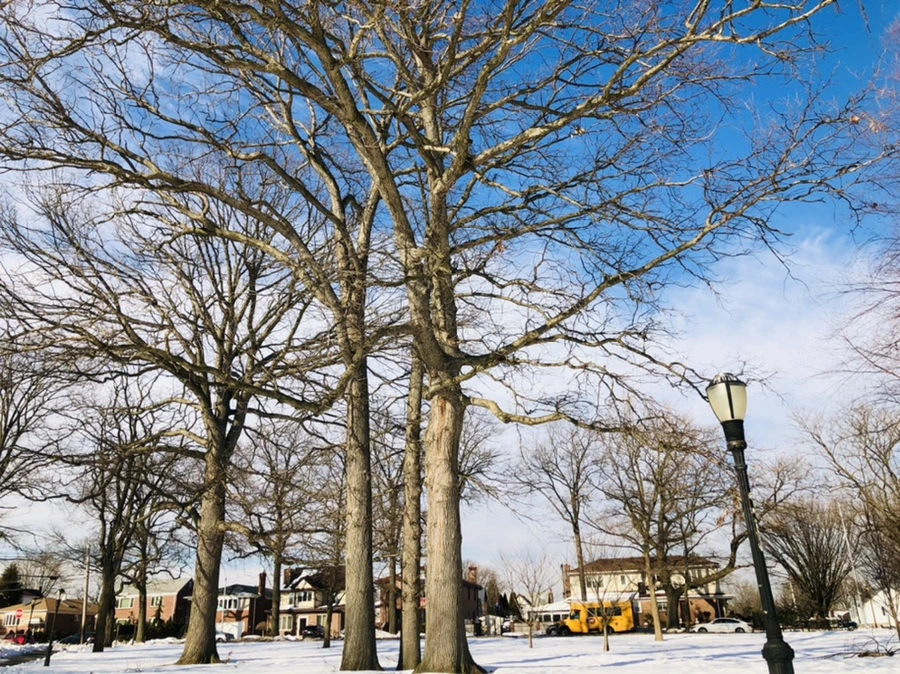 IMG_0350.jpg?type=w966