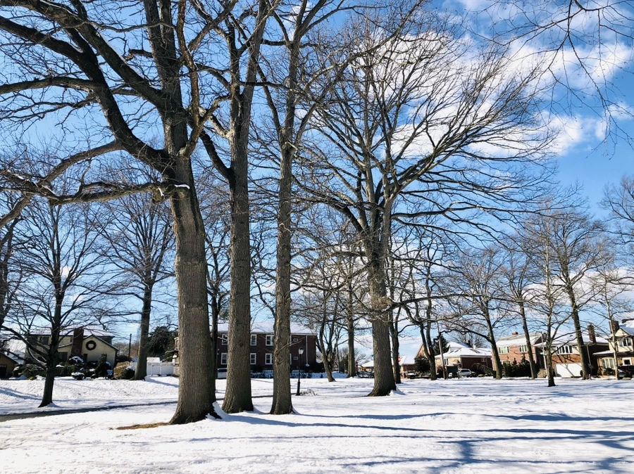 IMG_0458.jpg?type=w966