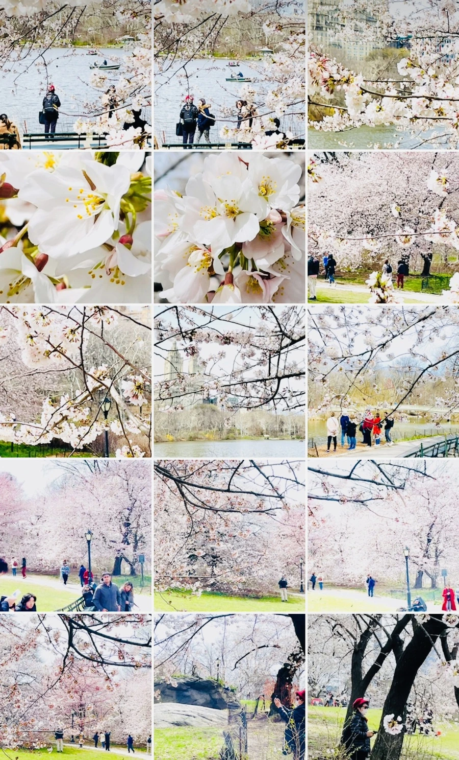 IMG_8985.jpg?type=w966