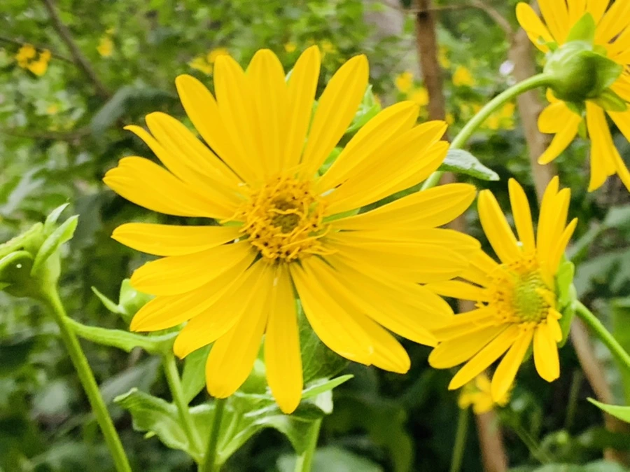 IMG_8789.jpg?type=w966