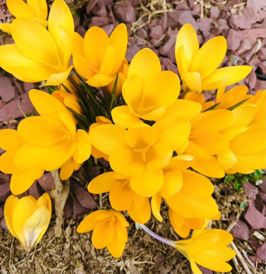 IMG_1087.jpg?type=w966