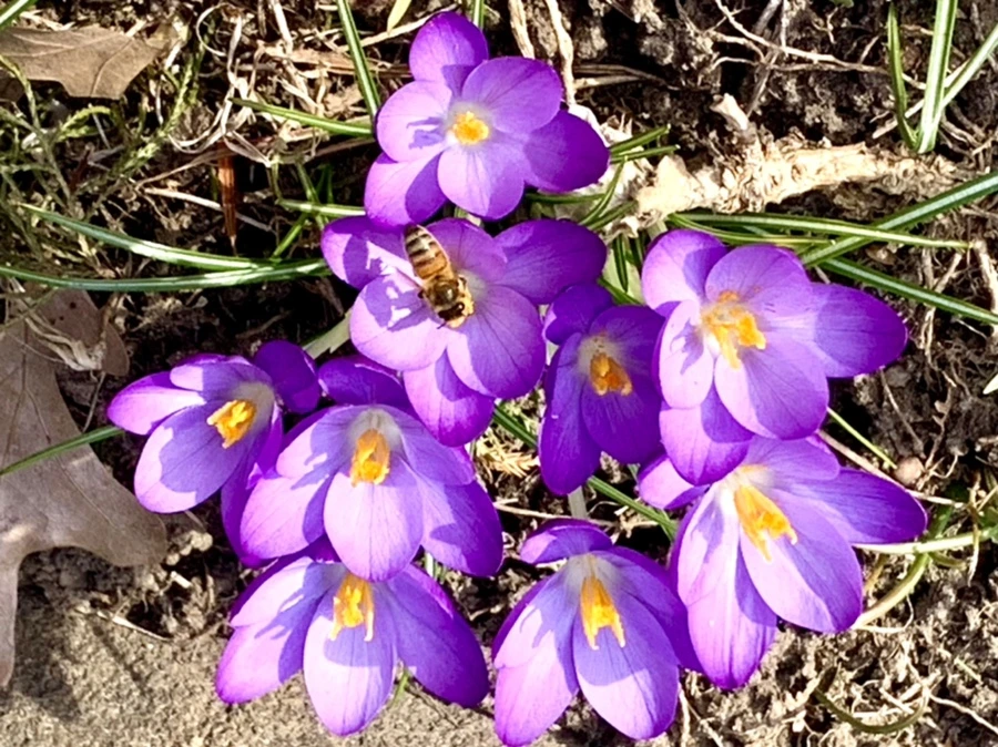 IMG_0270.jpg?type=w966