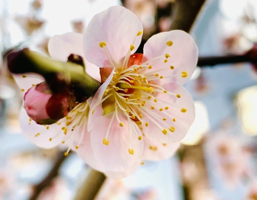 IMG_2730.jpg?type=w966