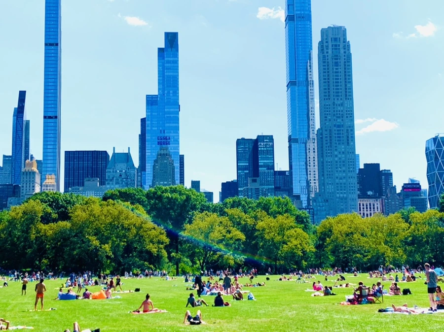 IMG_4409.jpg?type=w966