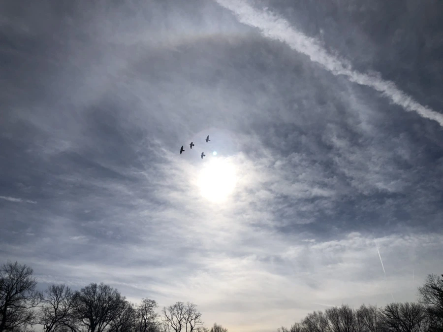 IMG_5679.jpg?type=w966