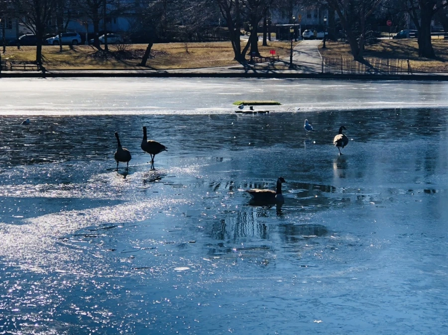 IMG_7949.jpg?type=w966