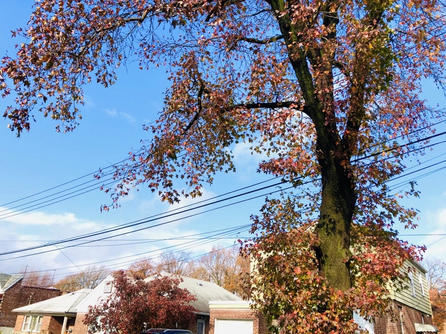 IMG_5496.jpg?type=w966