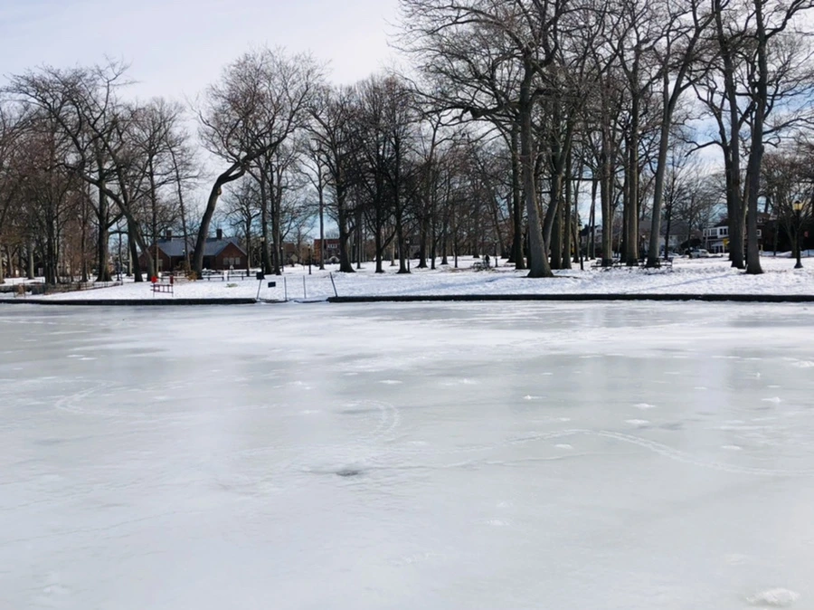 IMG_3092.jpg?type=w966