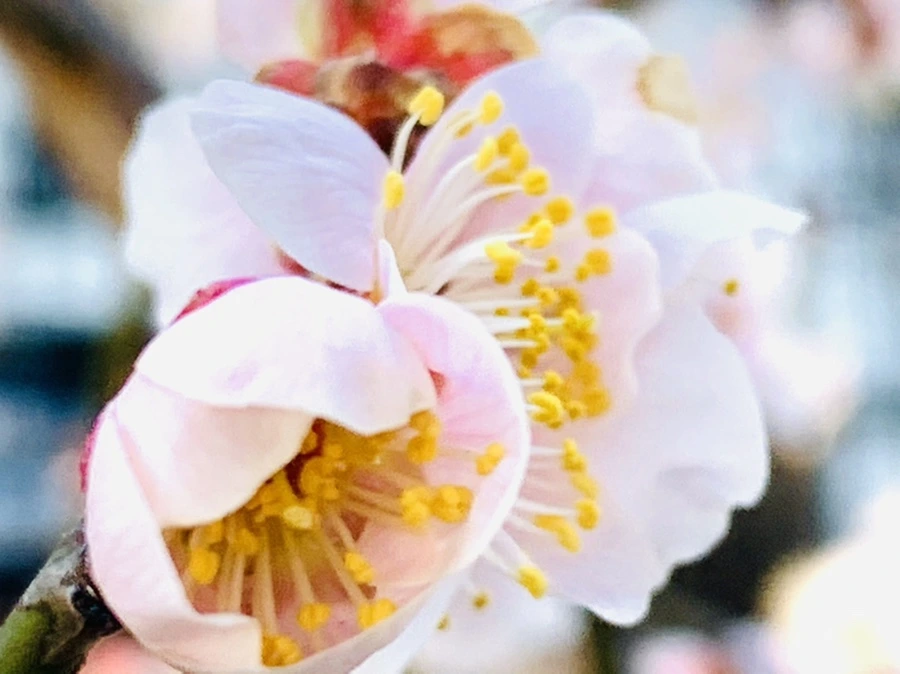 IMG_0901.jpg?type=w966