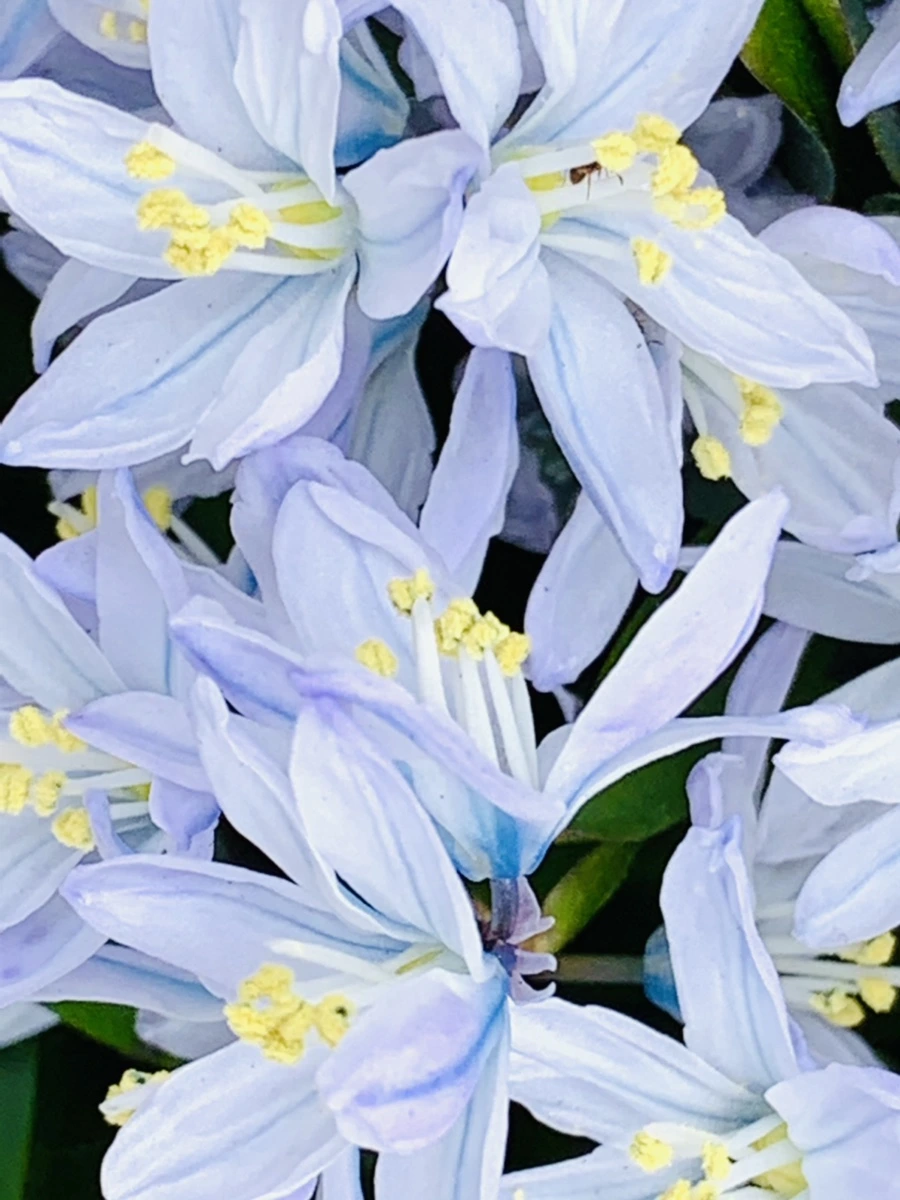 IMG_3527.jpg?type=w966