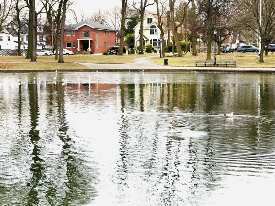 IMG_0992.jpg?type=w966