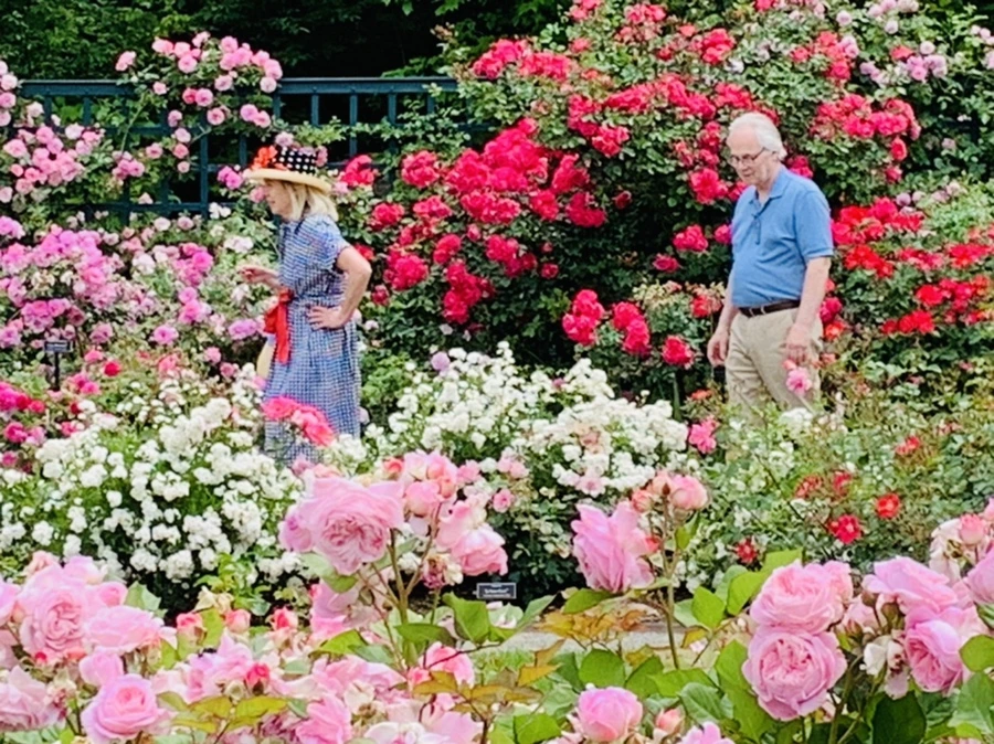 IMG_9935.jpg?type=w966