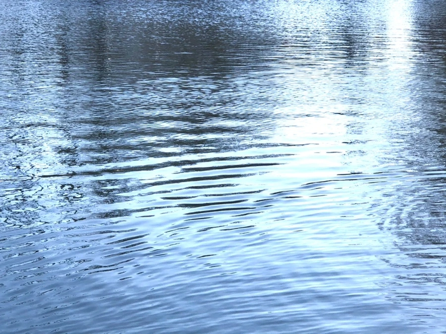 IMG_0291.jpg?type=w966