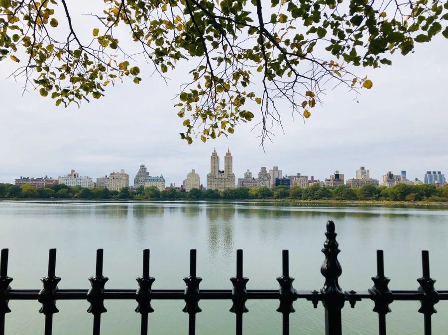 IMG_1799.jpg?type=w966