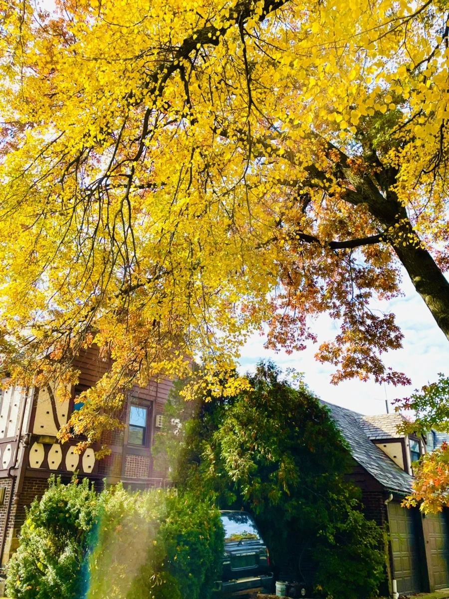 IMG_2247.jpg?type=w966