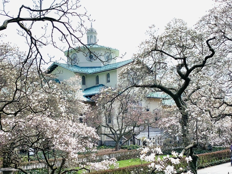 IMG_7290.jpg?type=w966