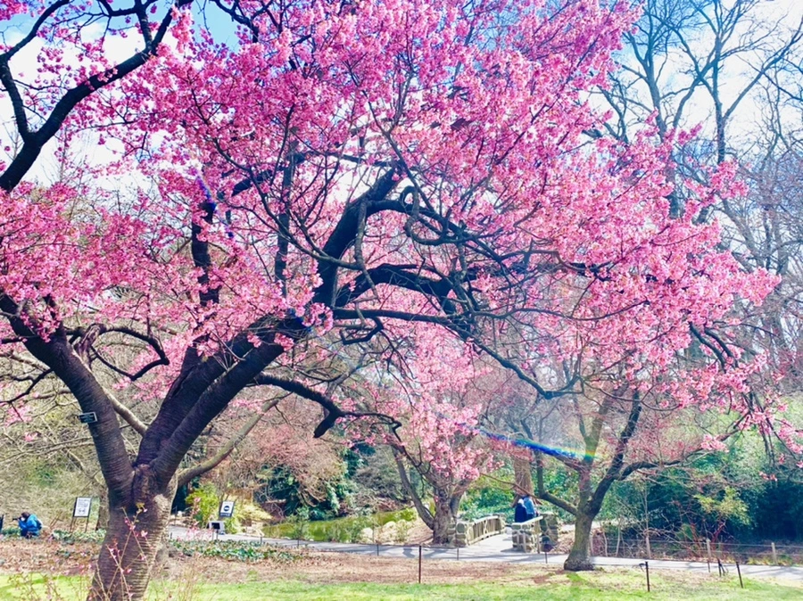 IMG_6557.jpg?type=w966