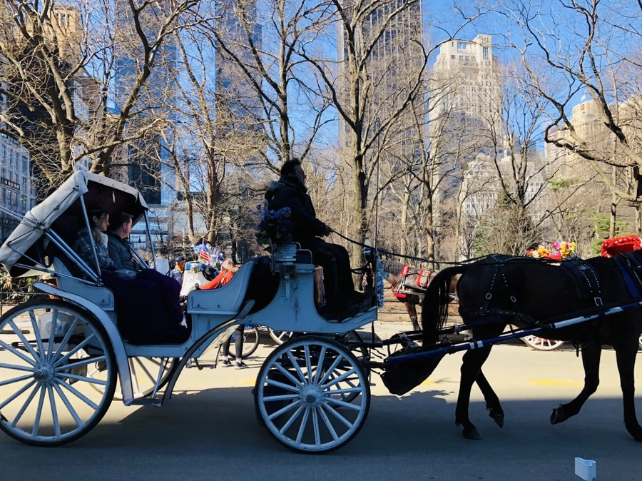 IMG_1181.jpg?type=w966