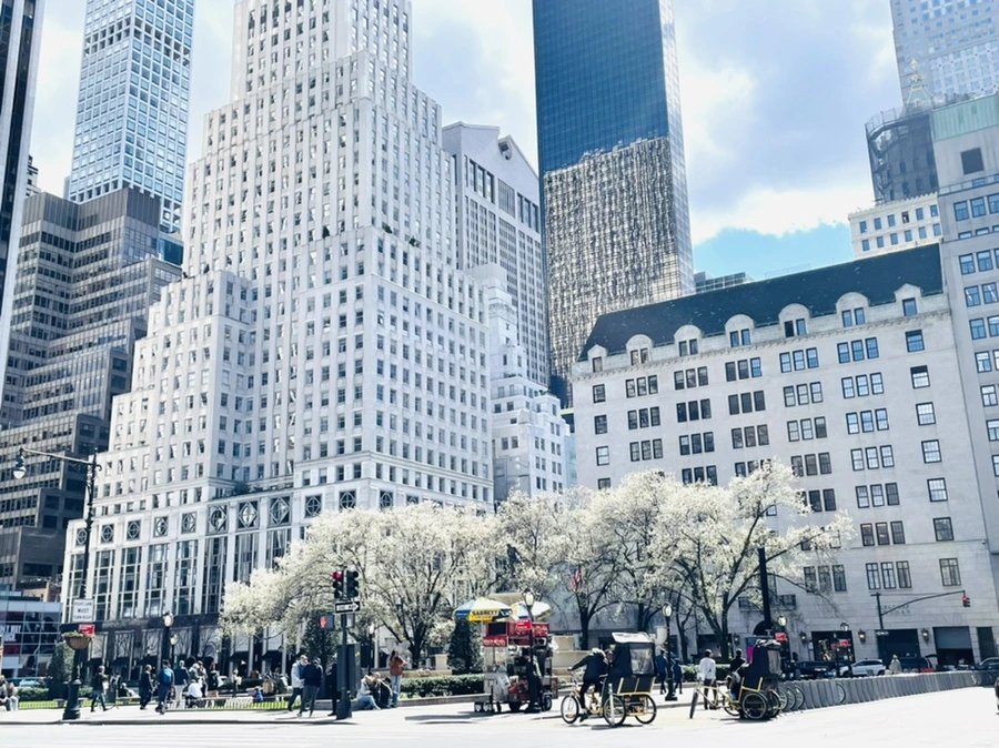 IMG_8083.jpg?type=w966