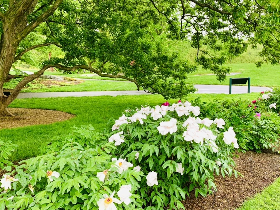 IMG_9957.jpg?type=w966