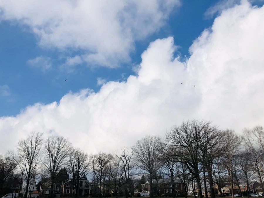 IMG_3519.jpg?type=w966