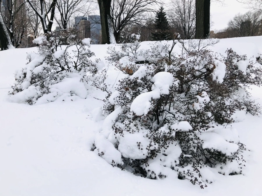 IMG_9534.jpg?type=w966