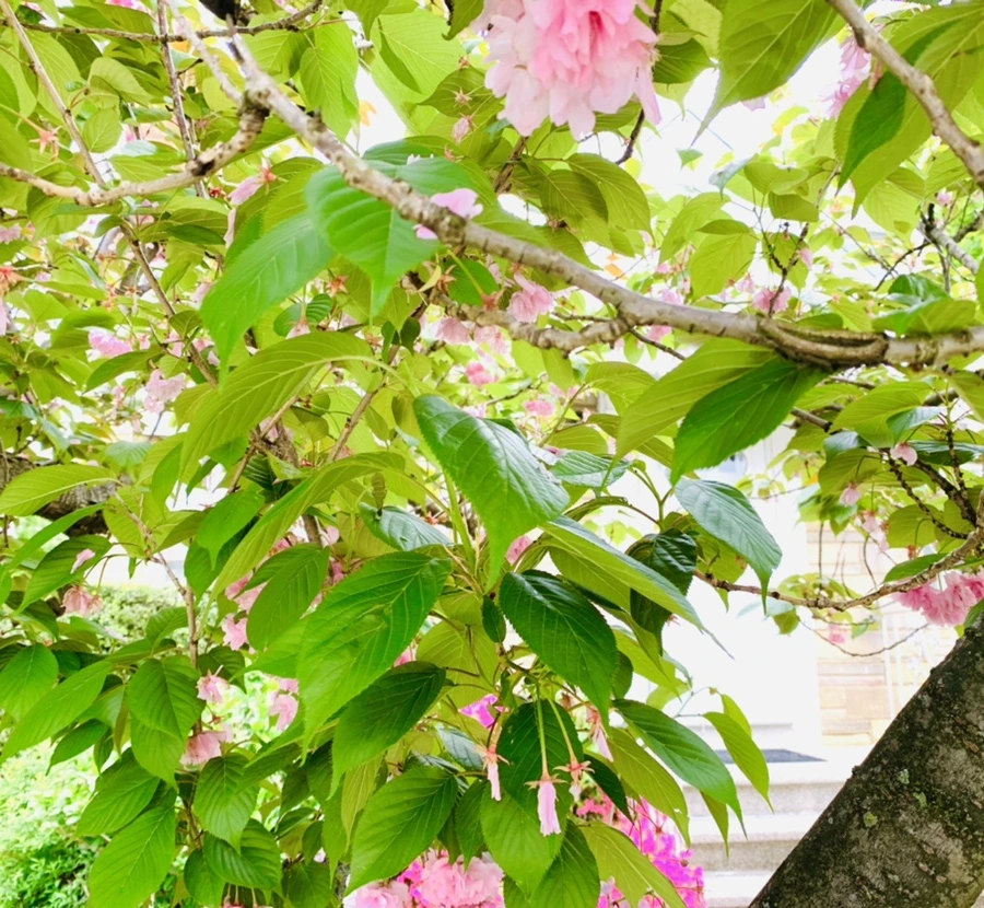 IMG_9538.jpg?type=w966