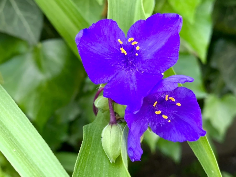 IMG_3519.jpg?type=w966