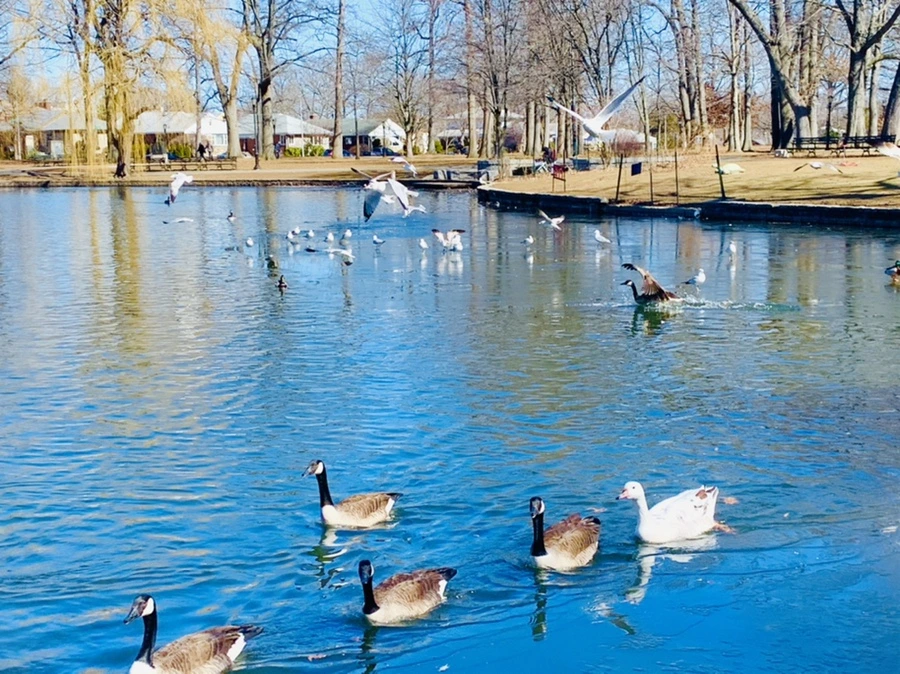 IMG_8254.jpg?type=w966