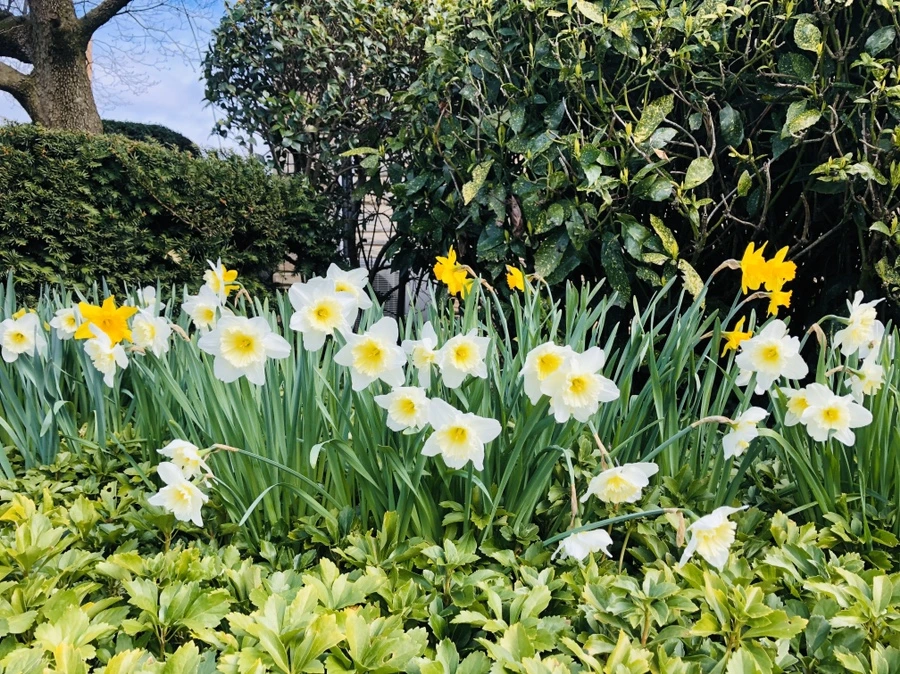 IMG_6741.jpg?type=w966