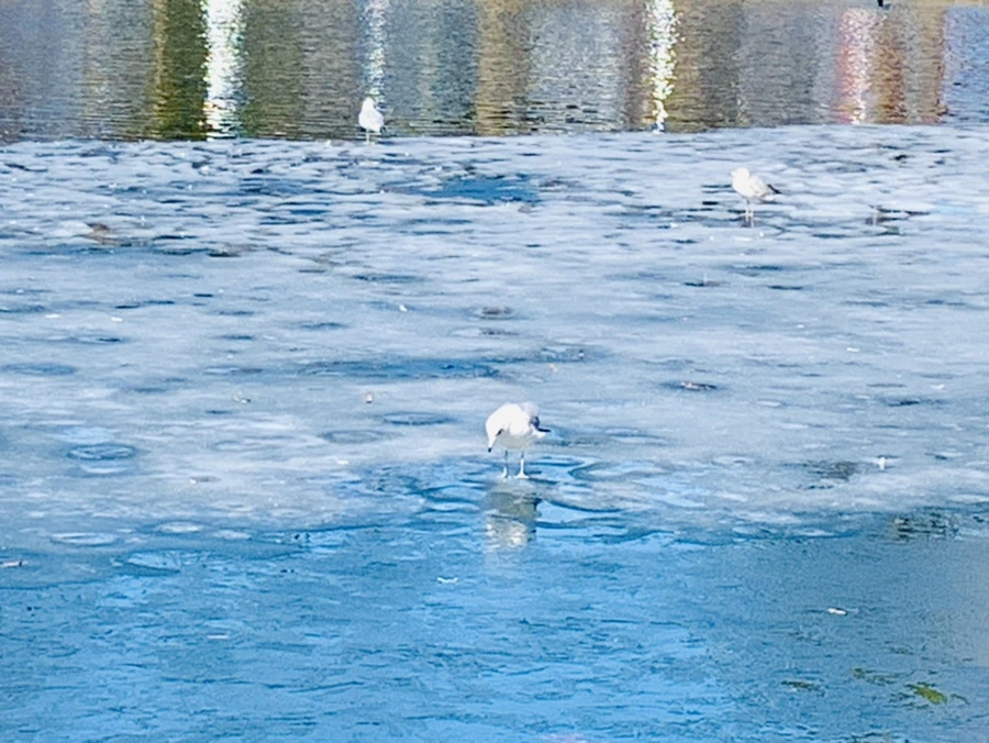 IMG_6977.jpg?type=w966