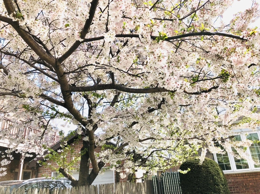 IMG_3191.jpg?type=w966