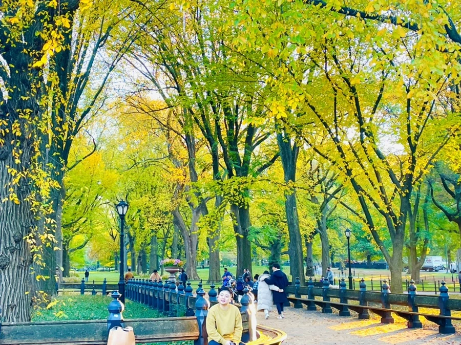 IMG_1470.jpg?type=w966