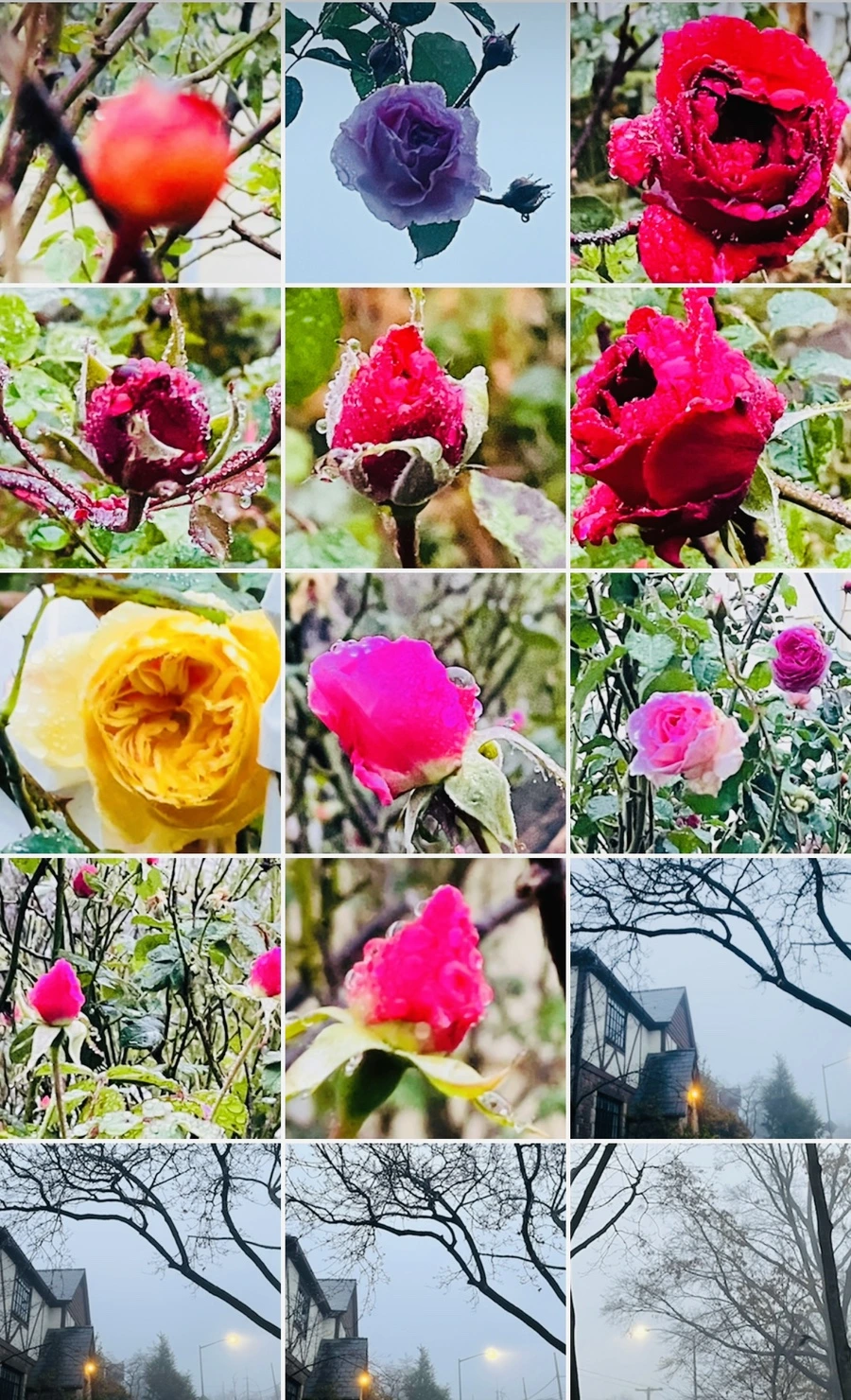 IMG_6435.jpg?type=w966