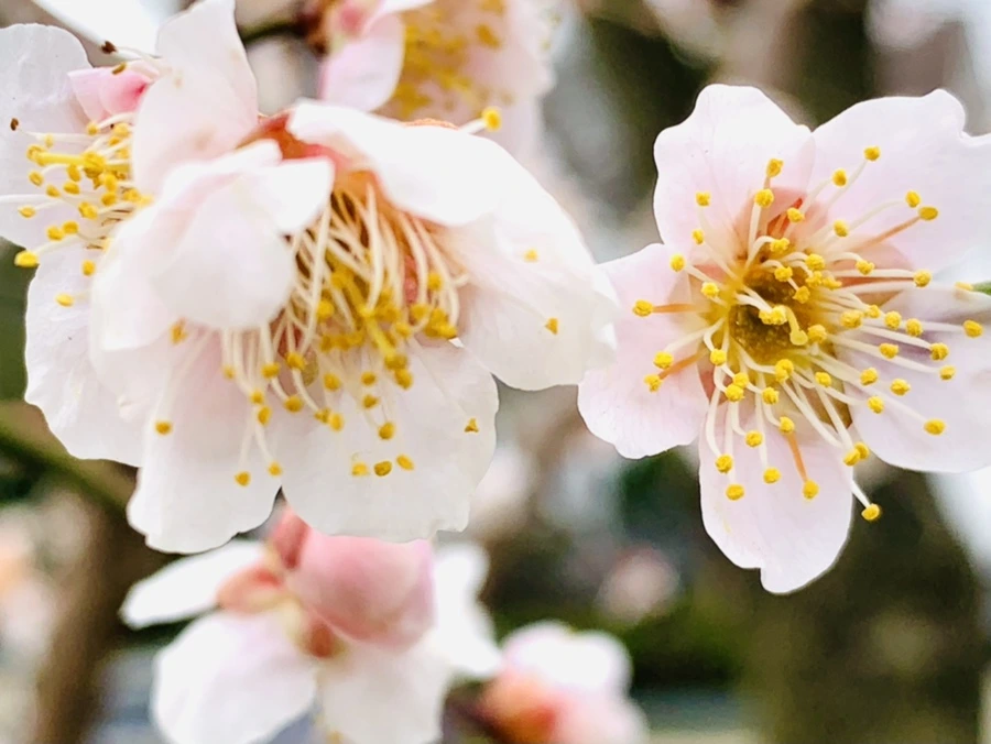 IMG_1700.jpg?type=w966